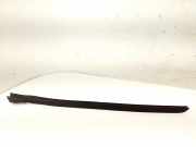 Vertikale Verkleidung auf der linken Seite der Windschutzscheibe