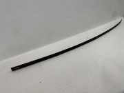 Dachleiste links BMW X1 (E84) sDrive 18 d