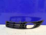 Gitter vorne unten VW PASSAT B6 (3C2) 1.6 VW9902601