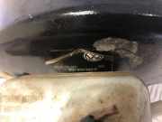 Unterdruck-Bremskraftverstärker VW POLO (AW1, BZ1, AE1) 1.6 TDI 601612105