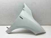 Kotflügel vorne rechts RENAULT MEGANE III Hatchback (BZ0_) 1.5 dCi (BZ09, BZ0D)