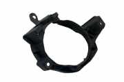 Rahmen für Nebelscheinwerfer Toyota RAV 4 IV (A4) 5212842090
