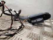 Türverkabelung hinten links