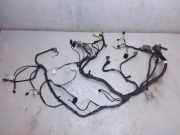 Kabelbaum Innenverkleidung JEEP COMPASS (MK49) 2.2 CRD 4x4 TAW10261BL068 72033W