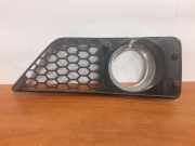 Gitter vorne unten MERCEDES-BENZ S (W221) S 350 (221.056, 221.156) A2218850553 #12322