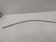 Fensterleiste Tür vorne links BENTLEY CONTINENTAL FLYING SPUR (3W_) 6.0