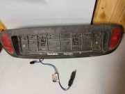 Kennzeichenbeleuchtung Verkleidung RENAULT MEGANE I (BA0/1_) 1.9 dT (B/SA0K, B/SA0Y) 22634004 7700842700