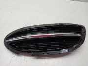 Gitter vorne unten MERCEDES-BENZ S (W222, V222, X222) S 350 BlueTEC / d (222.132, 222.032, 222.123) A2228850824