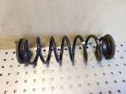 Feder links hinten Skoda Octavia II (1Z)