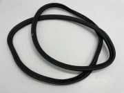 Dichtungsgummi der hinteren Tür (an der Karosserie) BMW 5 (G30) 530 e iPerformance