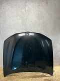 Motorhaube BMW X4 (F26) xDrive 20 d 425109