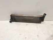 Ladeluftkühler Renault Scenic II (JM) 8200115540