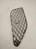 Kühlergrill unten Bentley Continental Cabriolet (3W) 3W3807647
