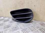 Gitter vorne unten TOYOTA YARIS (_P1_) 1.4 D-4D (NLP10_) 814810D010