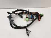 Kabelbaum BMW 6 Coupe (F13) 640 d xDrive 738080905