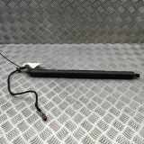 Heckklappe Gasdruckfeder rechts AUDI A5 Sportback (F5A) 35 TDI 8W827851E