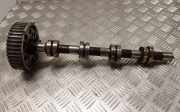 Auspuffkrümmer VW Passat B5.5 (3B3) 038109111E