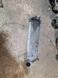 Ladeluftkühler MERCEDES-BENZ M (W163) ML 400 CDI (163.128) 1035048