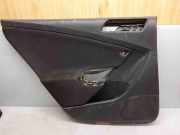 Türpolster hinten links VW PASSAT B7 ALLTRACK (365) 2.0 TDI 3C9867211 3C0035217