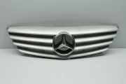 Vorderer oberer Gitter MERCEDES-BENZ B (W245) B 180 CDI (245.207) A1698800183