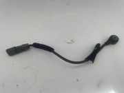 Klopfsensor AUDI A6 Allroad (4FH, C6) 3.2 FSI quattro 07L905377A