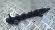 Einspritzleiste Renault Master III Kasten (FV) 8200586778