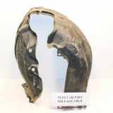 Innenkotflügel vorne links FORD KUGA III (DFK) 1.5 EcoBlue LJ6B16035CE