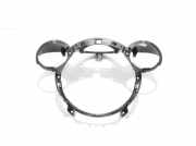 Geschwindigkeitsmesserverkleidung MINI COUNTRYMAN (R60) Cooper 3002212709 9801429