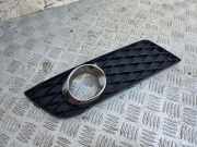 Blende Nebelscheinwerfer Mercedes-Benz A-Klasse (W169) A1698870625