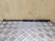 Heckklappe Gasdruckfeder rechts RENAULT GRAND SCÉNIC III (JZ0/1_) 1.5 dCi 904500004R