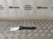 Abschleppöse Toyota Prius (W5)