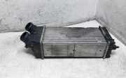 Ladeluftkühler CITROËN BERLINGO (B9) 1.6 HDi 110 874964GJ