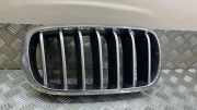 Vorderer oberer Gitter BMW X6 (F16, F86) xDrive 40 d 7316076