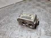 A/C Conditioner Expansion Valve BMW 3 Touring (E91) 318 d 64116981484 6981484