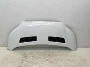 Motorhaube FORD TRANSIT 2.0 TDCi TKK31-A16612-AA