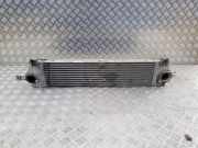 Ladeluftkühler NISSAN QASHQAI II (J11, J11_) 1.5 dCi G3062002 14461JD50A
