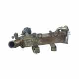 AGR-Kühler RENAULT KOLEOS I (HY_) 2.0 dCi (HY0K) L0281006 H8200620695