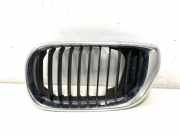 Vorderer oberer Gitter BMW 3 Cabrio (E46) 318 Ci 70305470 70429639