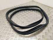 Türgummi rechts vorne Ford Transit Connect V408 Kasten ()