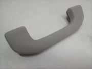 Dachgriff vorne links