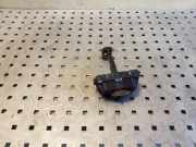 Türanschlag vorne links