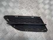 Gitter vorne unten BMW 3 Touring (E91) 316 d 7138418
