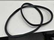 Dichtungsgummi der hinteren Tür (an der Karosserie) BMW X1 (F48) sDrive 18 d