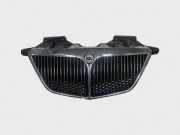 Vorderer oberer Gitter LANCIA PHEDRA (179_) 2.2 JTD (179AXC1A) 1489549693