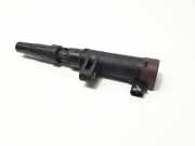 Zündspule Renault Megane II (BM/CM) 216031219