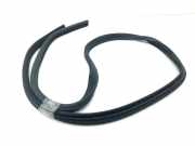 Türdichtung Maserati Quattroporte V ()