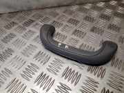 Dachgriff vorne rechts HYUNDAI TERRACAN (HP) 2.9 CRDi 4WD