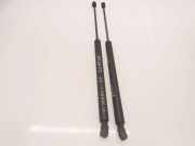 Heckklappe Gasdruckfeder rechts RENAULT MEGANE II Estate (KM0/1_) 1.5 dCi 8200212598