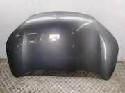 Motorhaube HONDA CR-V III (RE_) 2.2 i-DTEC 4WD (RE6)