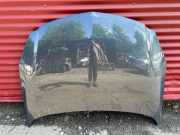 Motorhaube OPEL INSIGNIA A Estate (G09) 2.0 CDTI (35)